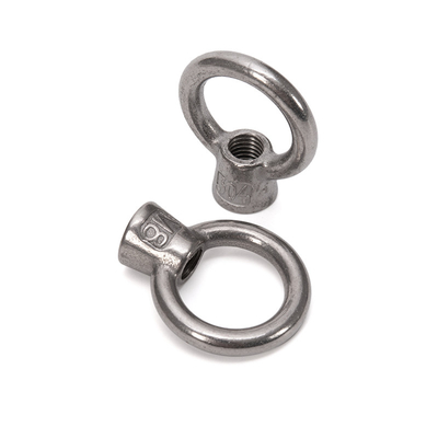 Système de mesure métrique en acier inoxydable de haute précision M8 M10 M12 DIN 580 Noix de levage