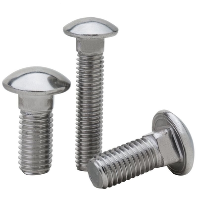 Finition simple SS304 SS316 Coche galvanisée Bolt Nut M4 M5 M6 M8 M10 avec A2-70/A4-80/304/316 Grade et acier de haute qualité