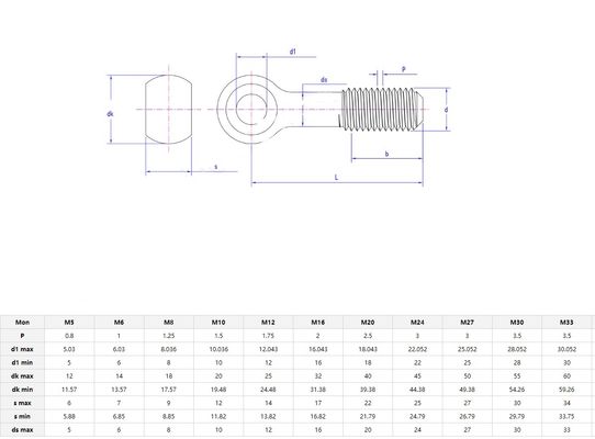 Finition simple en acier inoxydable vis ronde pour les yeux de poisson M5 M6 M8 M10 M12 M16 M20 M24 M30 pour le levage et le boulon pour les yeux sans nœud