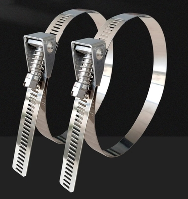 Des câbles en acier inoxydable auto-verrouillable pour les applications lourdes 4.6*300mm SS304/316 Fscat