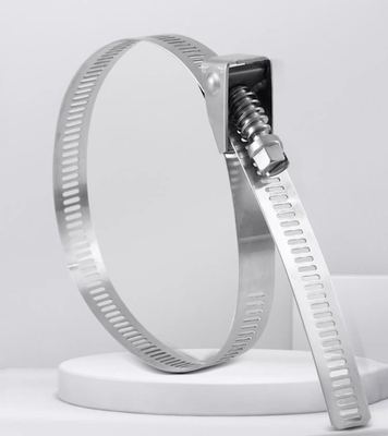 Des câbles en acier inoxydable auto-verrouillable pour les applications lourdes 4.6*300mm SS304/316 Fscat