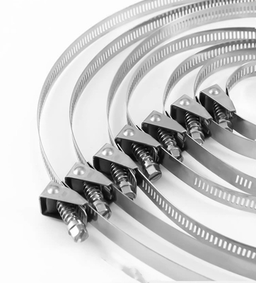 Des câbles en acier inoxydable auto-verrouillable pour les applications lourdes 4.6*300mm SS304/316 Fscat