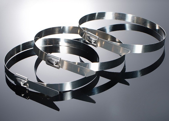 Standard ISO 100 pièces de câbles en acier inoxydable 12 mm pour les applications industrielles