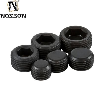 Screw hydraulique enduite en zinc Hexagon Socket Pipe Plug Filé conique M8 M10 DIN906 pour les connexions de tuyaux industriels