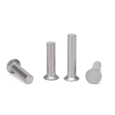Rivets semi-tubulaires personnalisés professionnels en acier inoxydable 304 tête ronde plate Gb873 M3 M4 M5 pour les applications lourdes