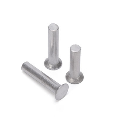 Rivets semi-tubulaires personnalisés professionnels en acier inoxydable 304 tête ronde plate Gb873 M3 M4 M5 pour les applications lourdes