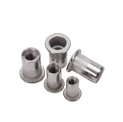 Métrique 304 en acier inoxydable à tête plate en acier carbonique galvanisant M5 M6 M8 écrous de rivets pour le traitement de l'eau
