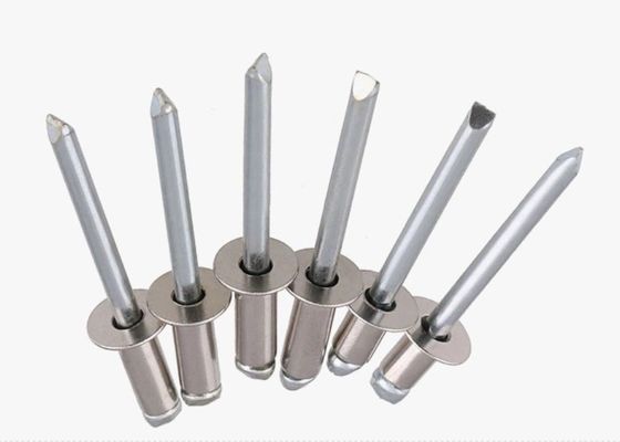 DIN Standard ST2.4 ST3.2 ST4 ST4.8 ST6.4 Fracture du mandrin Rivets aveugles en acier inoxydable SS304 Aluminium JIS Standard