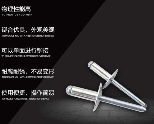 Finition en zinc ANSI/ASME Force de fixation solide en acier Rivet pour métal m2.5 m3 m3.5 m4.2 m4.8 m5.5 m6.3