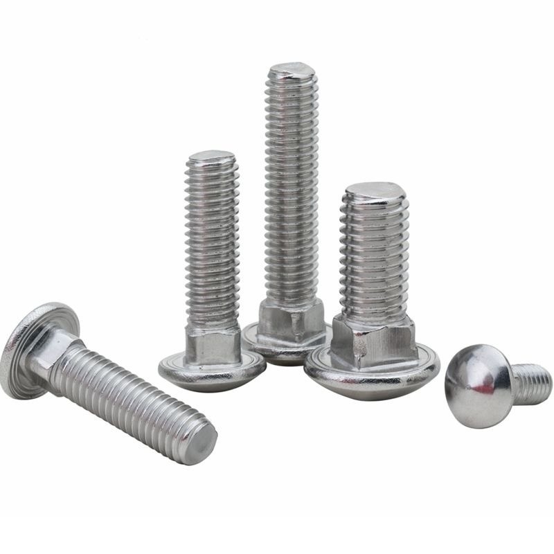 Finition simple SS304 SS316 Coche galvanisée Bolt Nut M4 M5 M6 M8 M10 avec A2-70/A4-80/304/316 Grade et acier de haute qualité