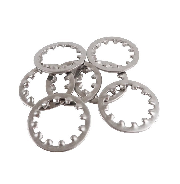 Les machines à laver en acier inoxydable à fermeture à glissière noire M6 M8 M10 M12M14 M16M18M20M22M24M27m30 with Serrated Teeth and Spring Style