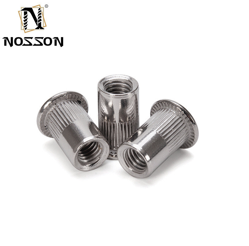 Industrie générale Bleu et blanc zincé M8 M10 1.25 fileté Pres Noix de rivette avec acier au carbone étanche