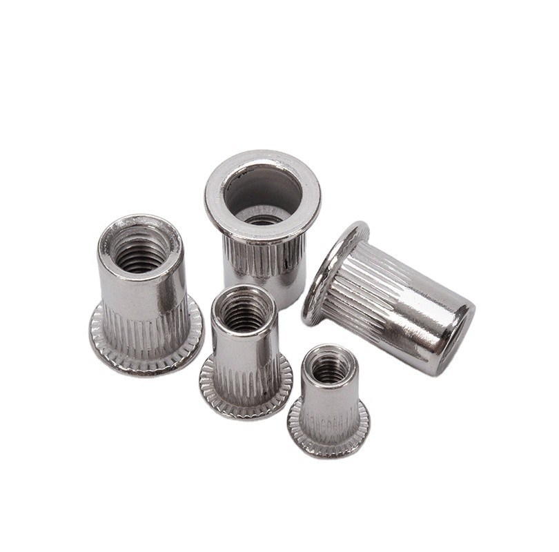 Métrique 304 en acier inoxydable à tête plate en acier carbonique galvanisant M5 M6 M8 écrous de rivets pour le traitement de l'eau